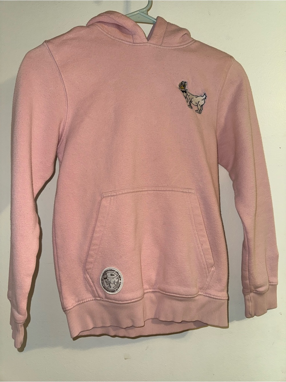 GOAT Girls Pink Hooded Sweatshirt with Embroidered Goat Detail